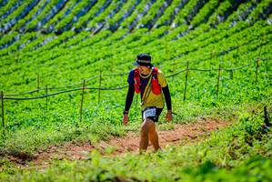 BIB: 
                            <button type="button" onclick="openModal(19163372)" class="btn btn-primary btn-sm float-right btn-popup" data-toggle="modal" data-target=".modal-high-quality">
                        <i class="fas fa-shopping-cart"></i> Add to Cart
                    </button>
                                            <button type="button" onclick="isThisMe(19163372, true)" class="btn btn-success btn-sm float-right btn-popup btn-isme hidden" data-toggle="tooltip" data-placement="bottom" title="นี่คือรูปของคุณใช่ไหม คลิกที่นี่เพื่อเอาเข้าอัลบั้ม">
                        <i class="fas fa-plus"></i> Add to album
                    </button>
                    <button type="button" onclick="isThisMe(19163372, false)" class="btn btn-warning btn-sm float-right btn-popup btn-isnotme hidden">
                        <i class="fas fa-ban"></i> Remove from album
                    </button>